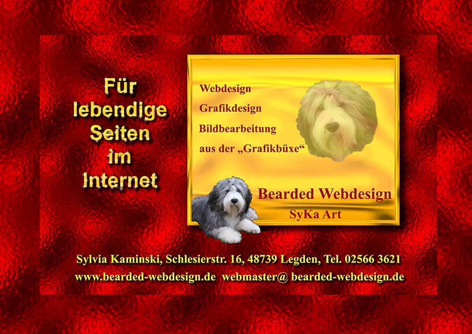 Bearded Webdesign fr lebendige Seiten im Internet.Webdesig,Grafikdesign und Bildbearbeitung aus der Grafikbxe